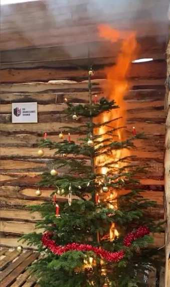 Brennender Weihnachtsbaum mit echten Kerzen